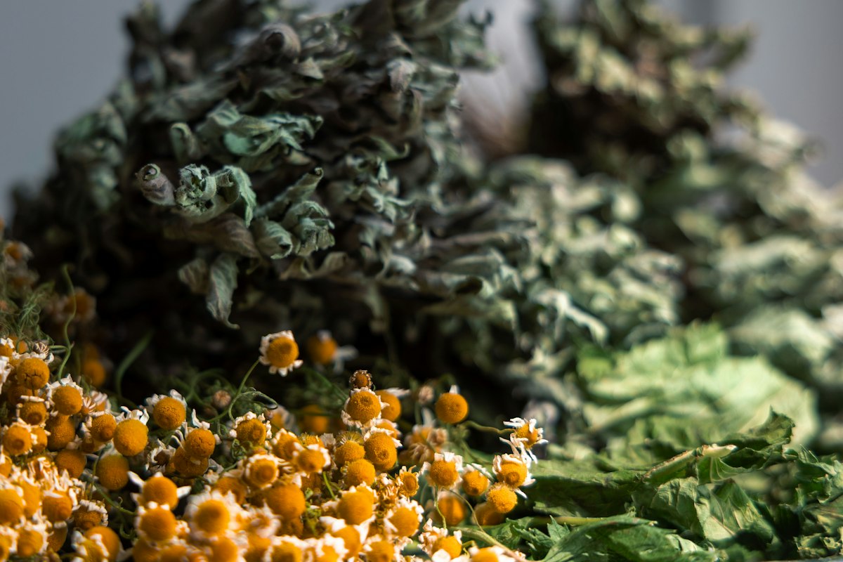 Guías de ingredientes medicinales